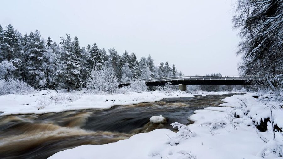 Vikakongas Hike: Nature and Silence - Why Vikakongas Feels Different From a Standard Rovaniemi Excursion
