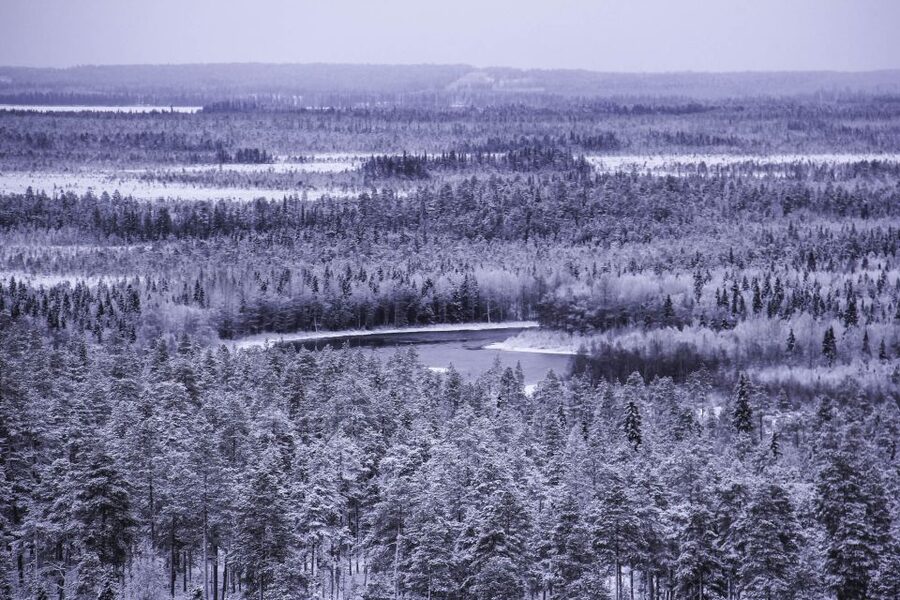 Vikakongas Hike: Nature and Silence - From Your Hotel to the Vikakongas Trailhead
