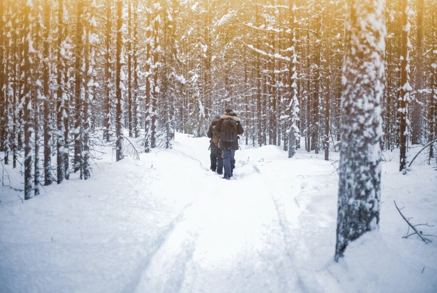 Vikakongas Hike: Nature and Silence - The First 2 Kilometers Along the River