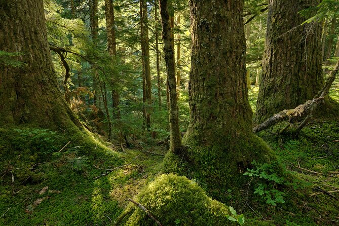 Visit Snoqualmie and Hike to Twin Falls (Transportation included) - Who should book this experience?