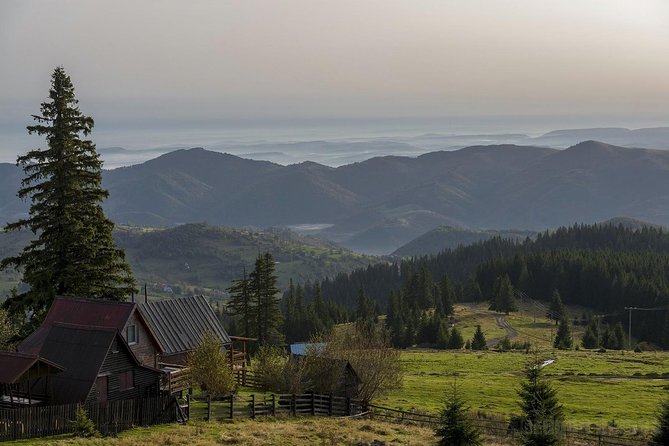 Vladeasa Peak and Bride's Waterfall Day Hike - Rogojel Village and the remarkable sequoia