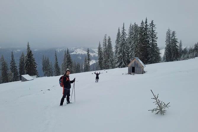 Vladeasa Peak and Bride's Waterfall Day Hike - Winter requires a different level of preparation