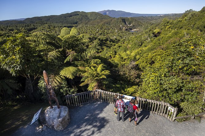 Volcanic Valley Self Guided Walking and Hiking at Waimangu - Frying Pan Lake and the first big geothermal views