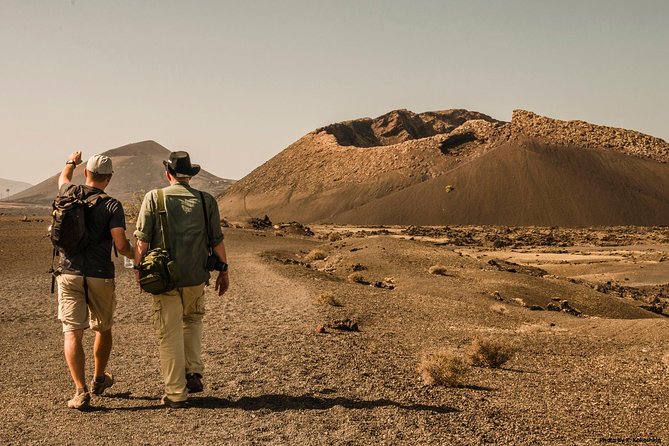 Volcano Hike - Timanfaya eruptions - Key points to know before you book