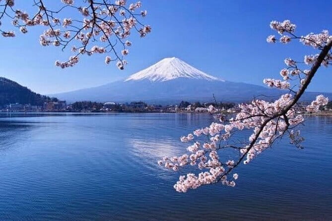 Walk the Ancient Pilgrim Paths of Mt. Fuji – Private Tour - Walking the 2.5-kilometer Ochudo Trail