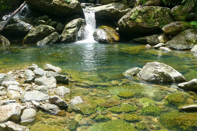 Waterfall Hike in Remote Area of El Yunque Rainforest; San Juan - Following the Espíritu Santo River for about an hour