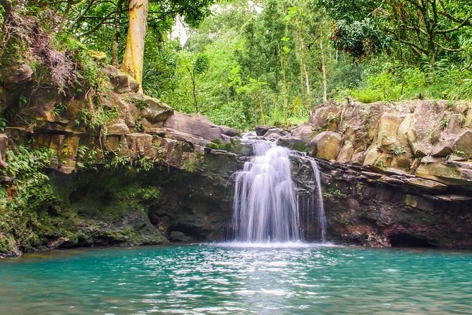 Waterfall & Rainforest Hiking Adventure with Hotel Pickup - Walking 2.5 miles through East Maui rainforest