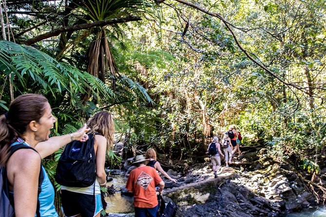 Waterfall & Rainforest Hiking Adventure with Hotel Pickup - Waterfalls, swimming, and the optional rock jump