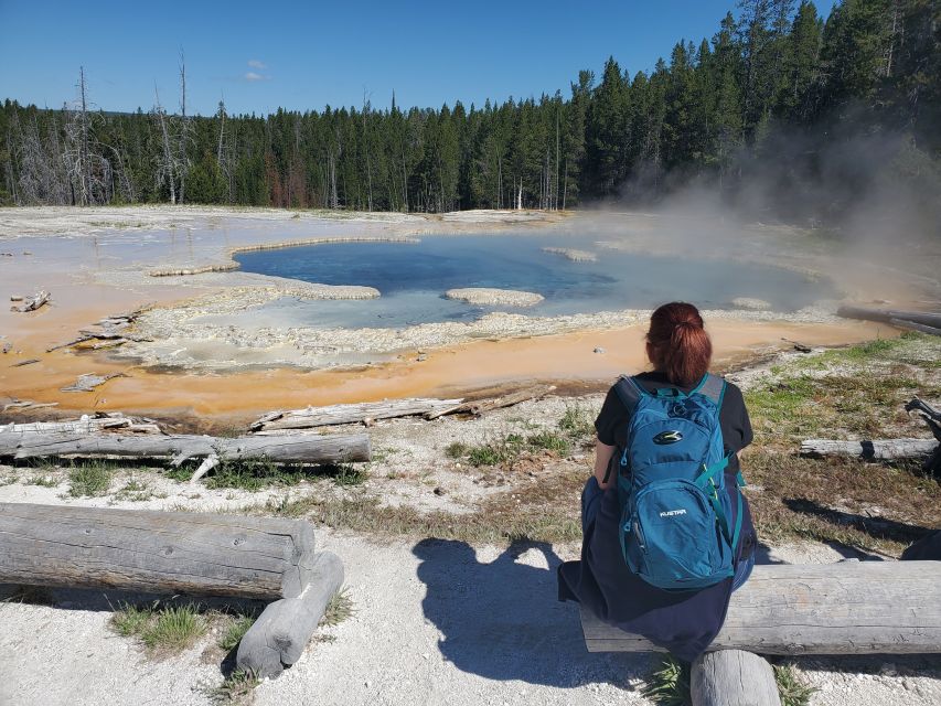 Yellowstone: Upper Geyser Basin Hike with Lunch - Daisy Geyser and the walk back