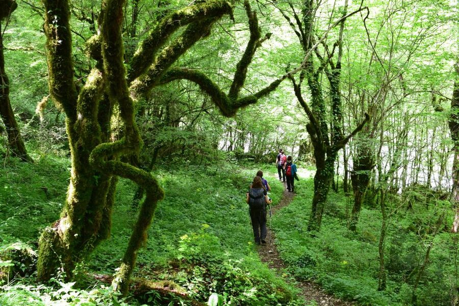 Zagori: Vikos Gorge full-day guided hike - Key points before you book